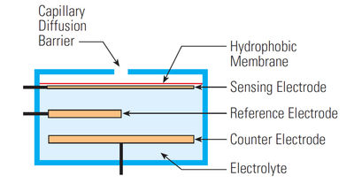 Figure 4: Components of electrochemical sensor.