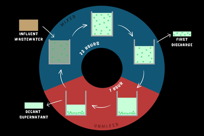 Algal pods as SBRs