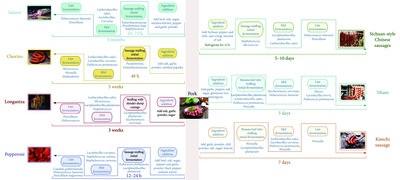 Comparative schematic of microbial dynamics and production stages in traditional fermented sausages: Western (salami/chorizo/longaniza/pepperoni) vs. Eastern (Sichuan sausage/Nham/kimchi sausage).