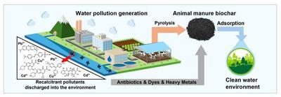 Animal manure biochar