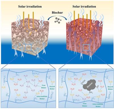 Heat loss and water transport capacity regulation in hybrid evaporators.