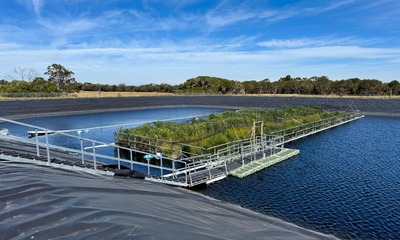 •	The floating wetland in a holding lagoon at Westernport Water wastewater treatment plant on Phillip Island, southeastern Australia